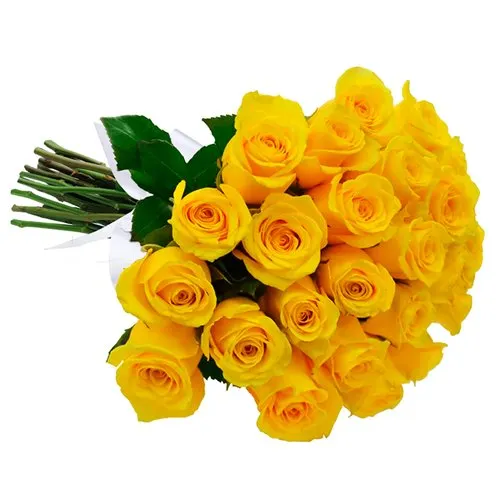 Buquê de 24 Rosas Amarelas