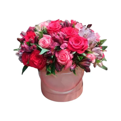 Box Elegance Média Rosa