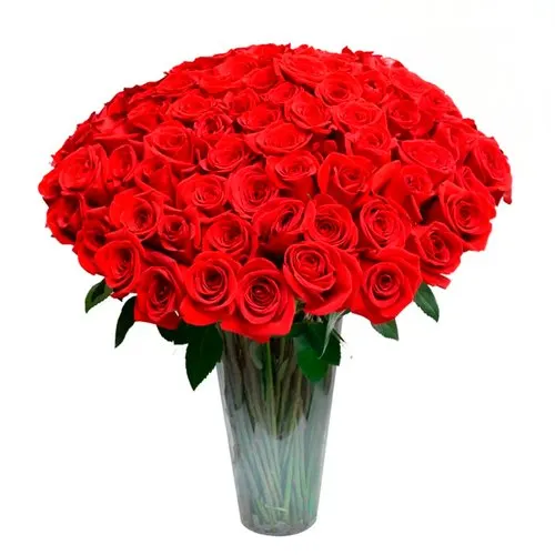100 Rosas Colombianas no Vaso