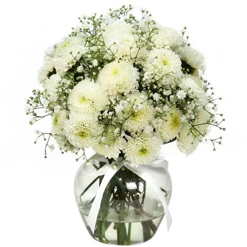 Brisa de Pinóquios Brancos e Gypsophila