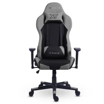 Cadeira Gamer XT Racer Defender NR17, Até 120kg, Com Almofadas, Reclinável, Descanso de Braço 3D, Preto e Cinza - XTR-032