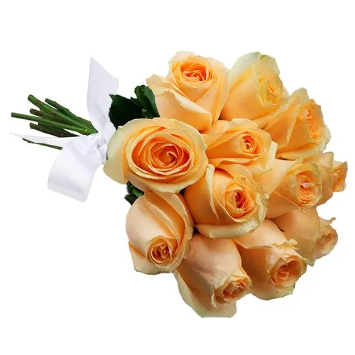 Buquê de 12 Rosas Champanhe
