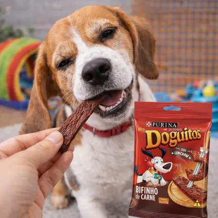Bifinho de Carne Doguitos 65g Petisco para Cachorros Cães Pets