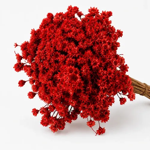 Flor Desidratada Sempre Viva C/300un I Flores Vermelho Decoração Festa Cor Vermelho