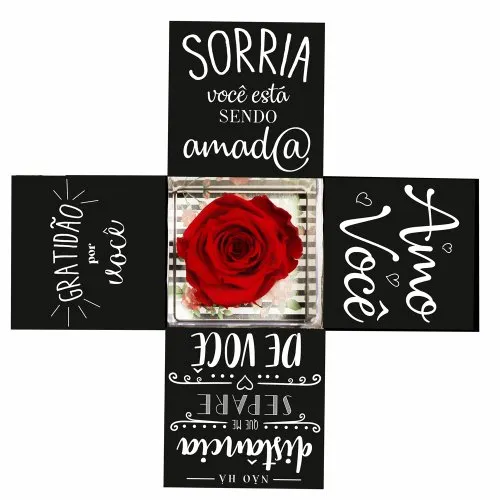 Surpresa de Rosa Encantada no Acrílico