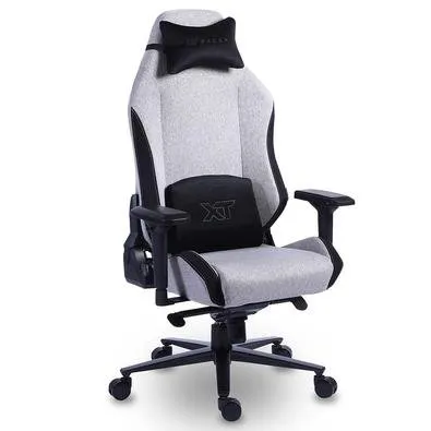 Cadeira Gamer XT Racer Draco NR17, Até 120kg, Com Almofadas, Reclinável, Descanso de Braço 4D, Preto e Cinza - XTR-065