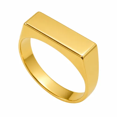 Anel Chapa Retangular em Ouro 18K