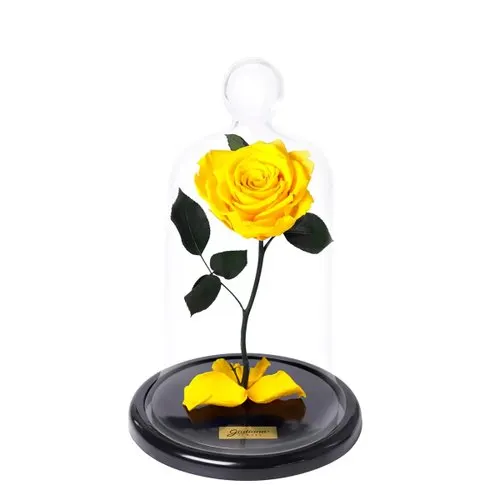 A Rosa Encantada Amarela