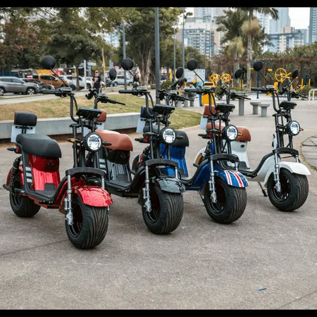 Moto Elétrica 1000W WAXX MOTORS Pneu Largo sem CNH sem Emplacamento