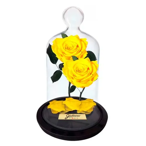 Jardim das Rosas Encantadas Amarelas