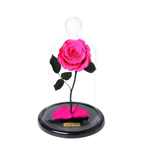A Rosa Encantada Pink