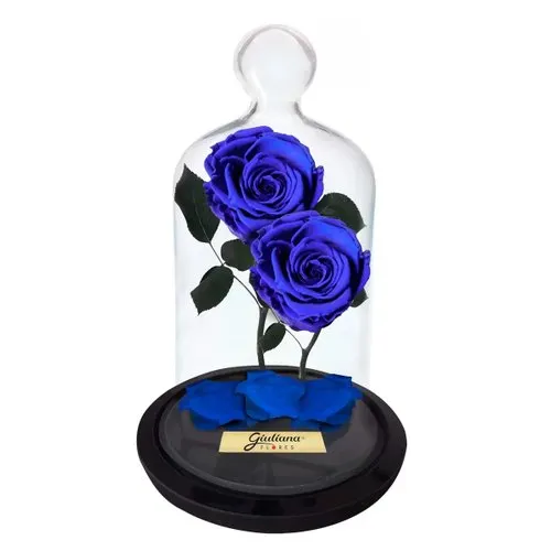 Jardim das Rosas Encantadas Azul