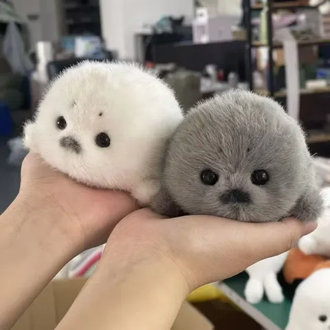 Chaveiro de pelúcia com selo cinza macio, selo branco, pingente de animal, boneca de pelúcia da moda, acessórios para chave de carro, ornamentos de carro