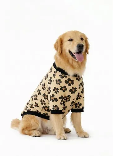 Blusão pet em cotton com estampa divertida Multicolor
