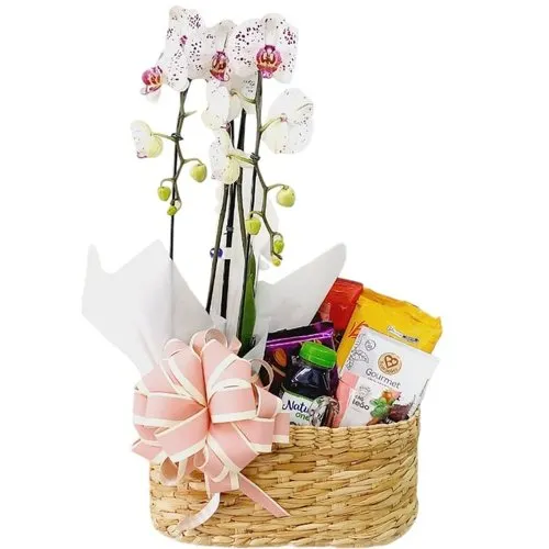 Cafe da Manha com Orquideas