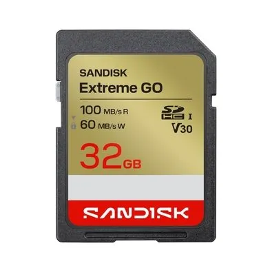 Cartão de Memória Sandisk Extreme Go SDHC 32GB, UHS-I, Classe 10 - SDSDXGN-032G-GNCIN