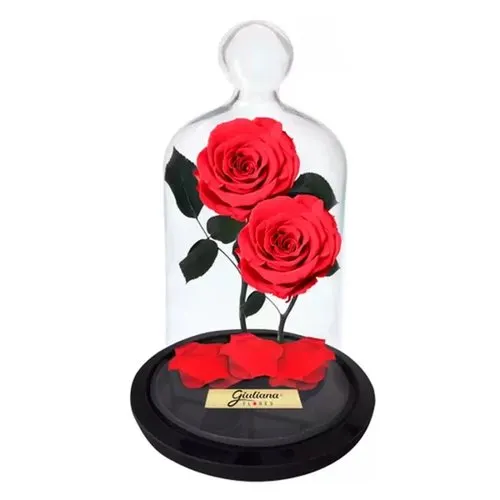 Jardim das Rosas Encantadas