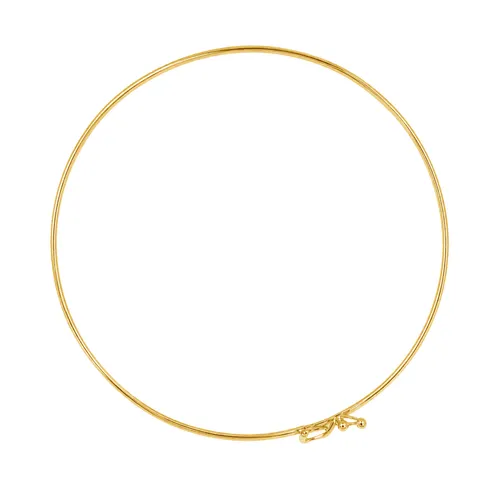 Bracelete Oval 2 mm em Ouro 18K