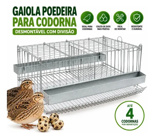 Gaiola Poedeira para Codorna Desmontável com Divisão