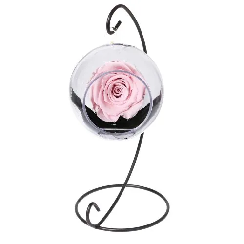 Pêndulo de Rosa Encantada Cor de Rosa