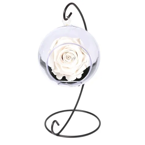 Pêndulo de Rosa Encantada Branco