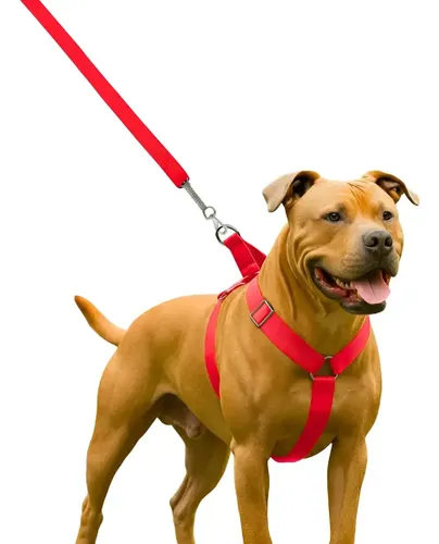 Coleira Peitoral Guia para Cachorro Pit Bull Reforçada Vermelho