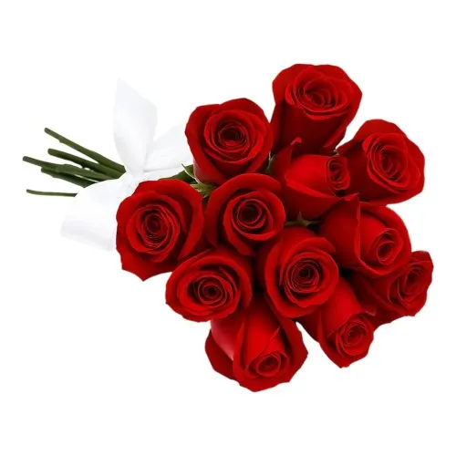 Buquê de 12 Rosas Vermelhas