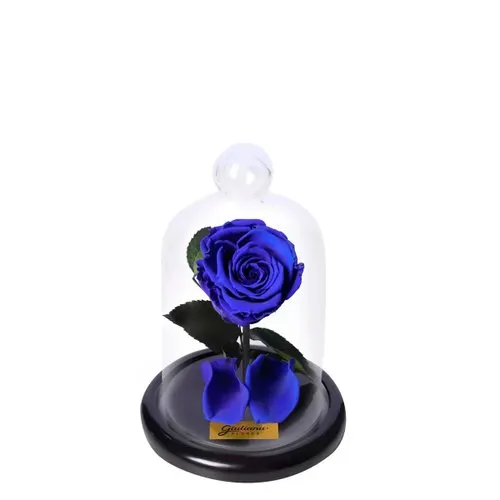 Mini Rosa Encantada Azul