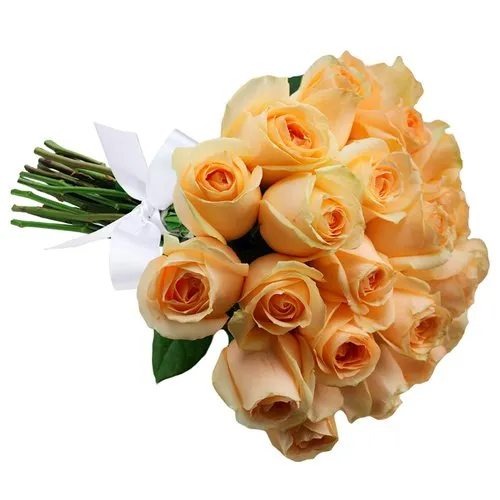 Buquê de 24 Rosas Champanhe