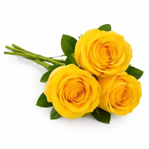 Buquê de 3 Rosas Amarelas