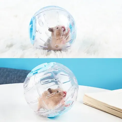 Plástico esporte ao ar livre bola grounder rato pequeno animal de estimação ratos jogging bola brinquedo hamster gerbil exercício bola jogar brinquedo pequeno animal de estimação suprimentos
