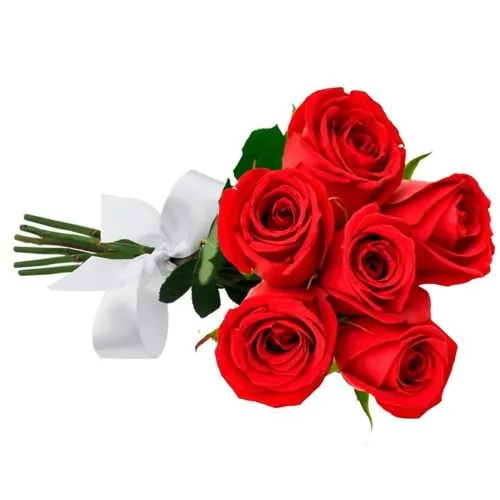Buquê de 6 Rosas Vermelhas