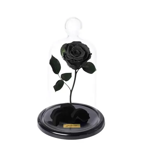 A Rosa Encantada Preta
