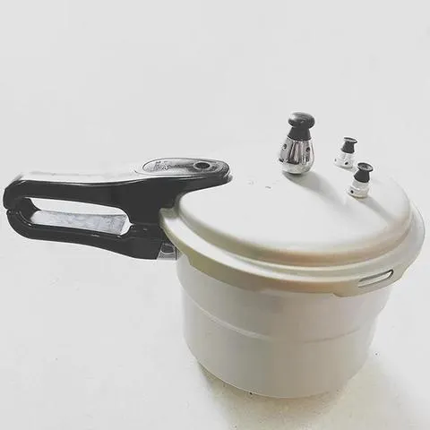 Panela de Pressão de Aço Inoxidável para Sopa e Carne com Válvula de Pressão, Panela de Alta Pressão para Uso Doméstico, Eletrodoméstico de Cozinha