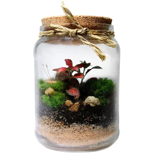 Mini Terrário no Pote