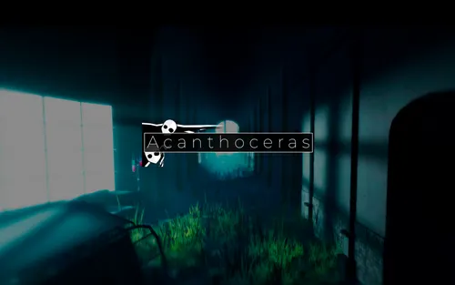 Acanthoceras