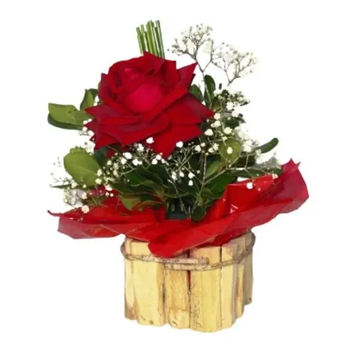 Rosa Vermelha Importada