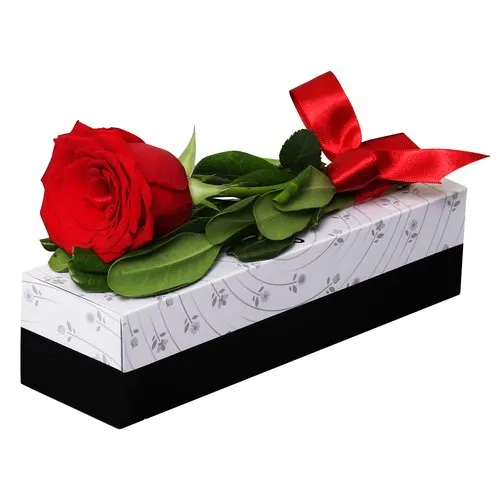 Sensacional Rosa Importada Vermelha