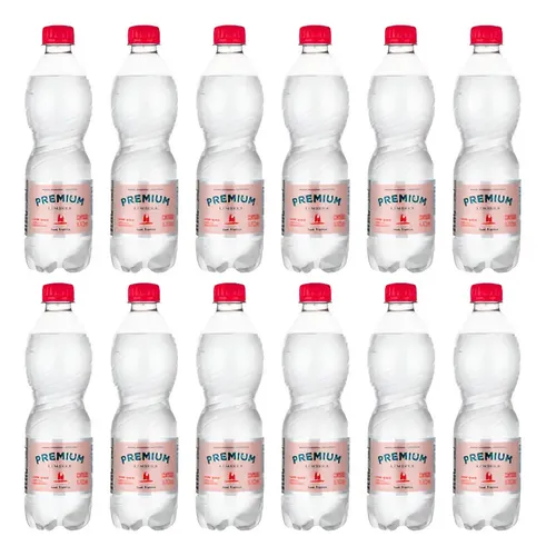 Água Mineral Premium Lindoia com Gás 510ml Kit com 12 Unidades