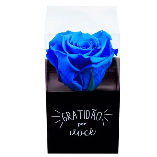 Rosa Encantada Azul Escura "Gratidão por Você"
