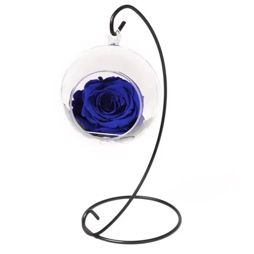 Pêndulo de Rosa Encantada Azul