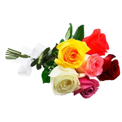 Buquê de 6 Rosas Coloridas