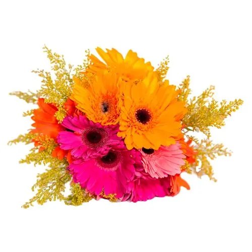 Buquê de Gérberas Primavera