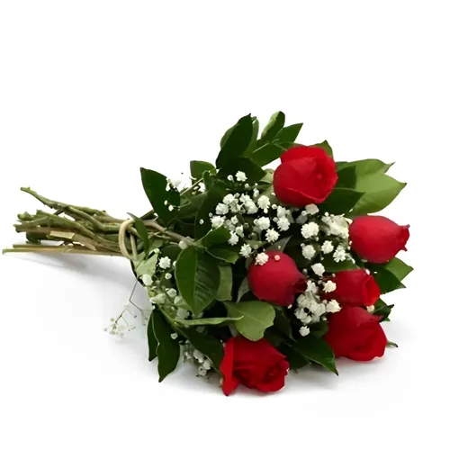 Buquê 6 Rosas com Gipsofila