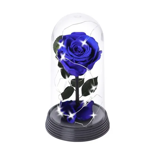 A Bela Rosa Encantada Estrelada Azul
