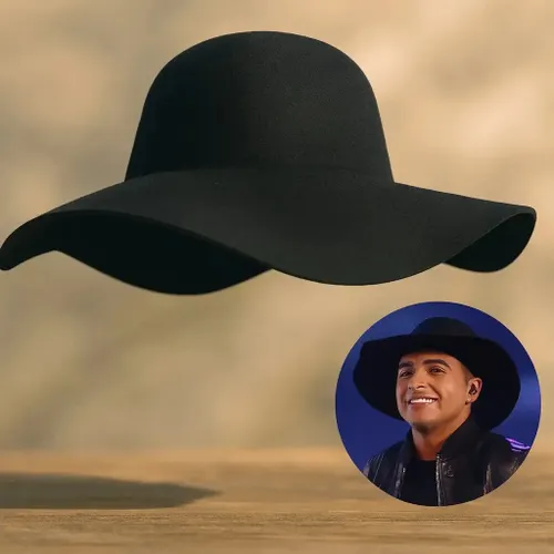 Chapeu Natanzinho Tradicional Caminhoneiro Cata Ovo Country Preto Un Lisa