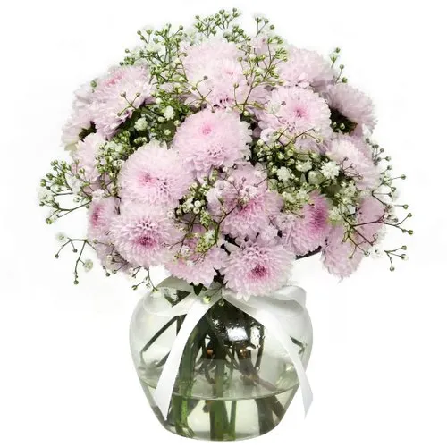 Brisa de Pinóquios Lilás e Gypsophila