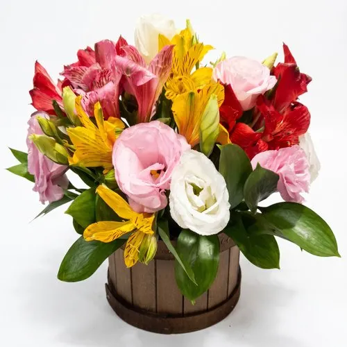 Arranjo de Astromélias e Lisianthus Lindo Dia