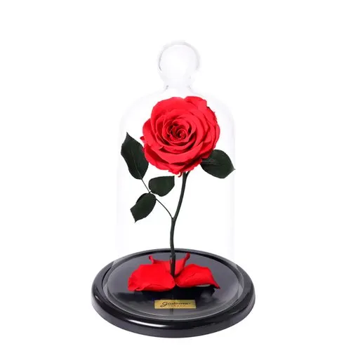 A Rosa Encantada