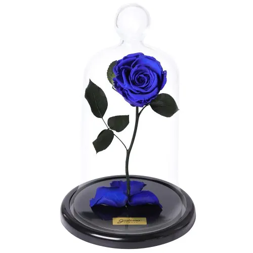 A Rosa Encantada Azul